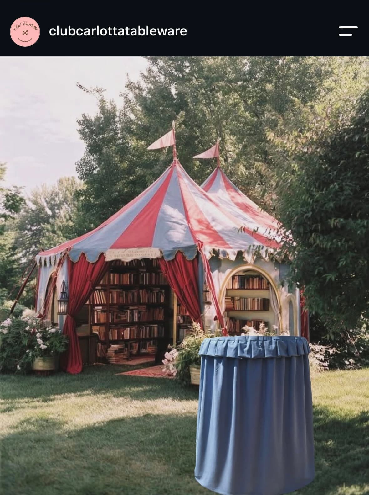 Circus
